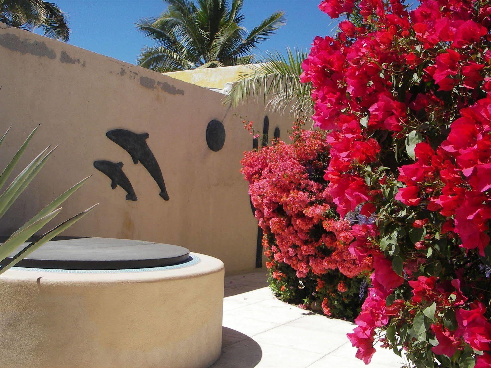 Casa Kootenay Waterfront Bnb La Paz Exteriör bild